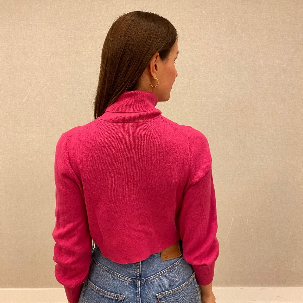 Aritzia Wilfred cropped turtleneck
